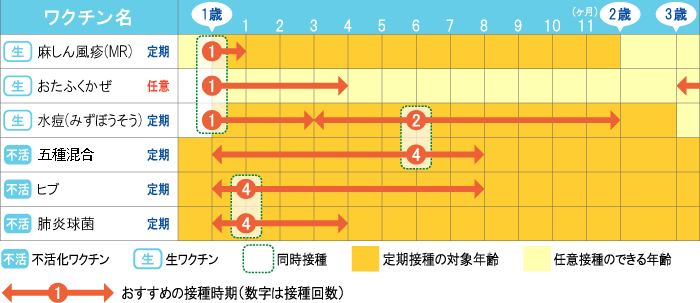 1歳からのスケジュール